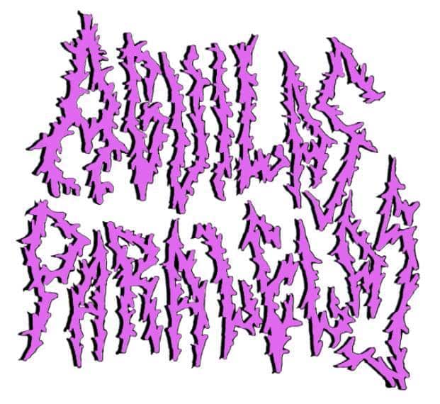 Aguilas Paralelas.Live Act.Needle Bellas Artes.18/06/15