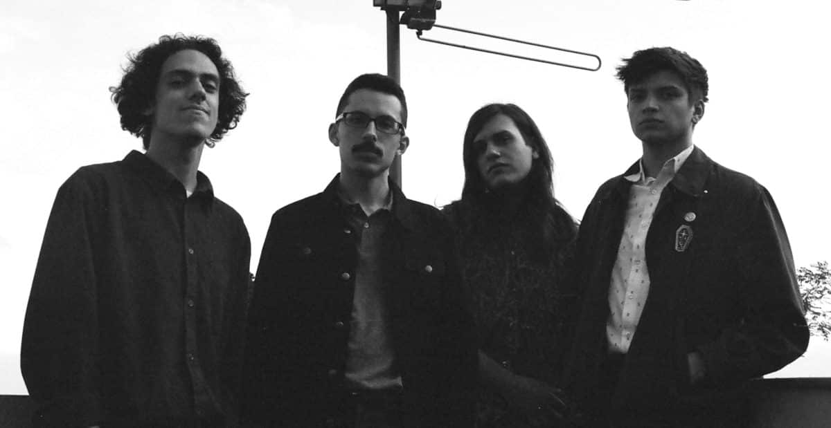 Carta Blanca.Bruises