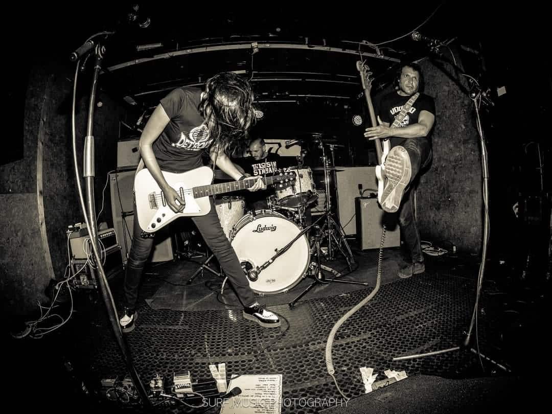 Los Polipos.20 temazos de 2024