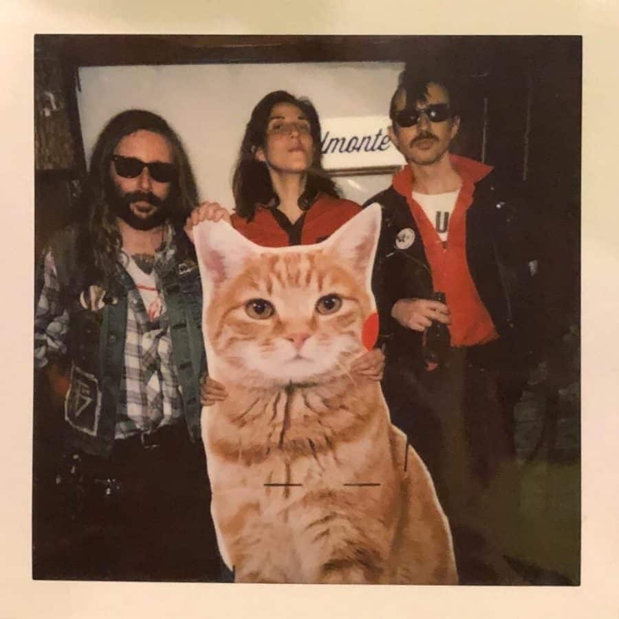 Miau!.Top 20 del 2024