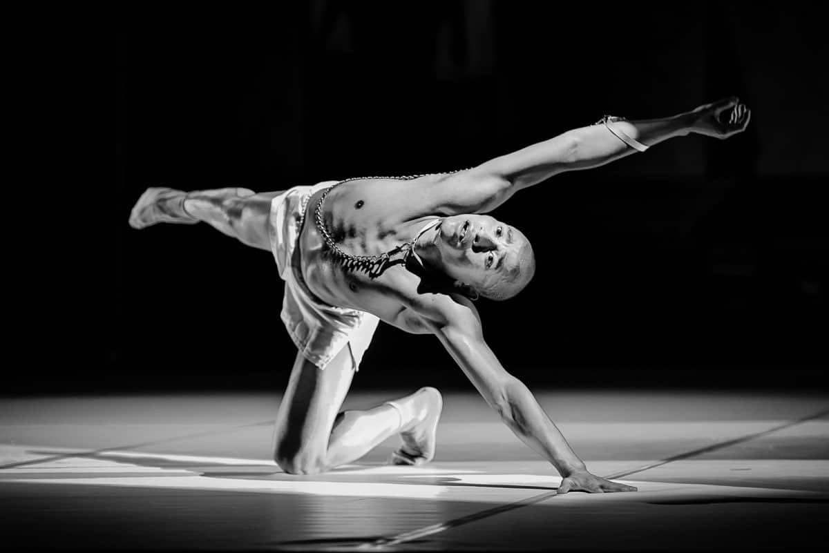88 azucenas y un perro.CienFuegos Danza.Entrevista Yoshua Cienfuegos.Madrid en Danza.24/11/17