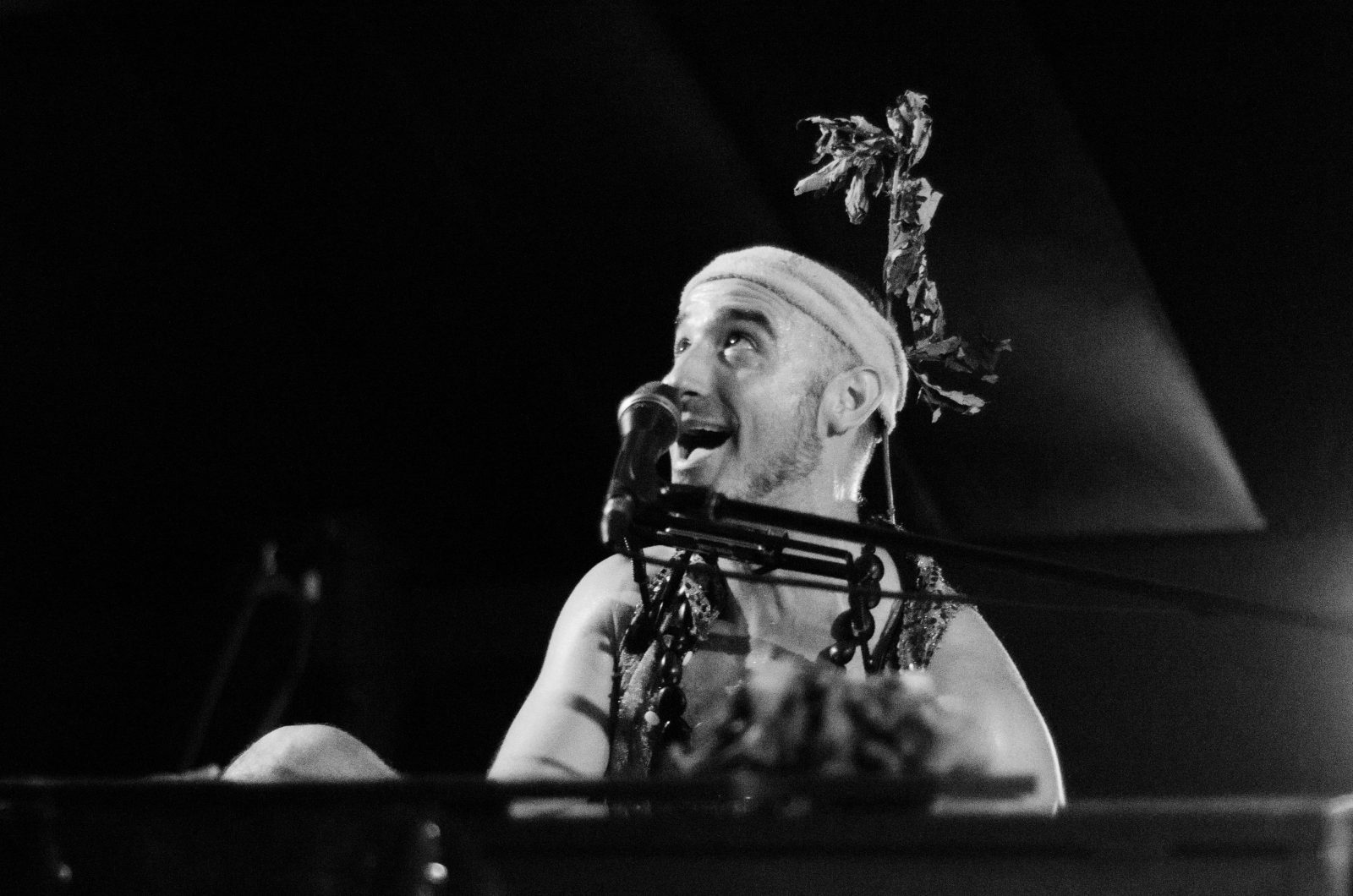 Carta Blanca.Capitan Bazofia