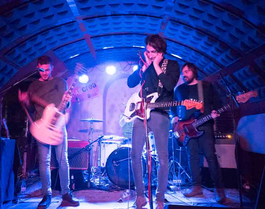 The Strangers El Perro de la parte de atras , 19/01/2017