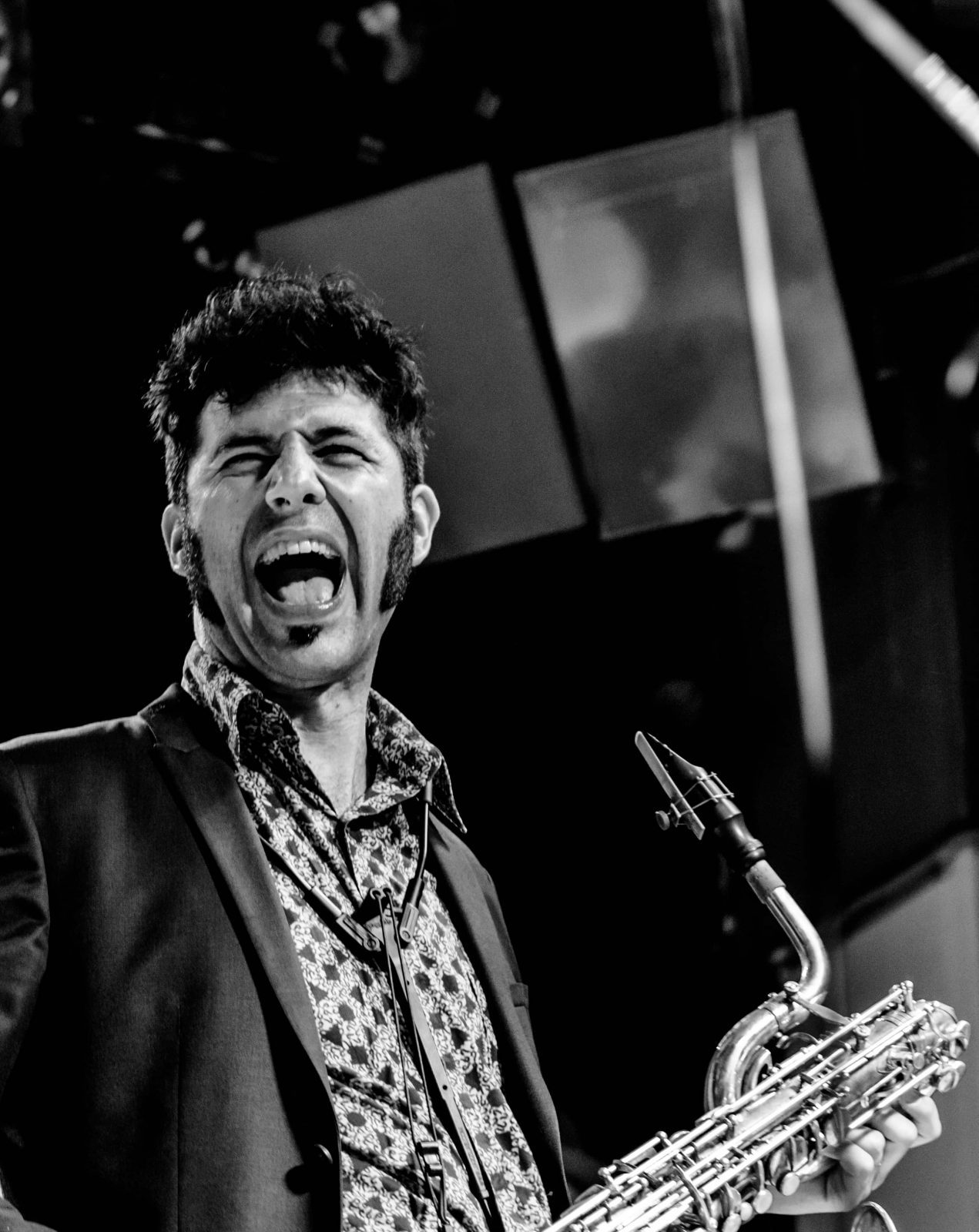 Dani Niño.Top 10 Vital Videoclips